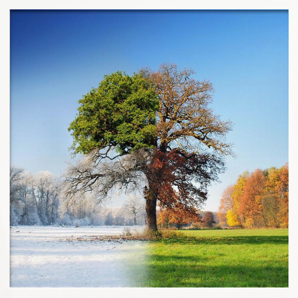 4 seasons - Poster / Art Print