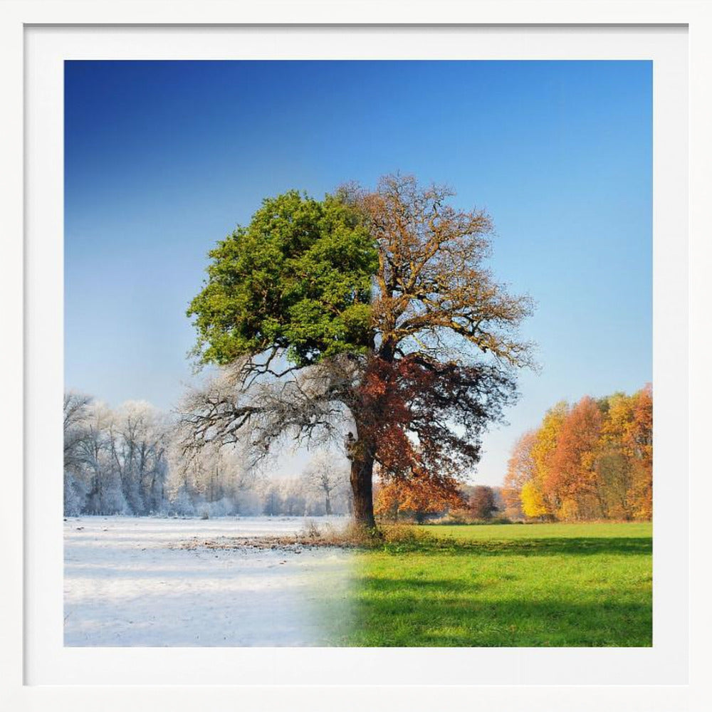 4 seasons - Poster / Art Print