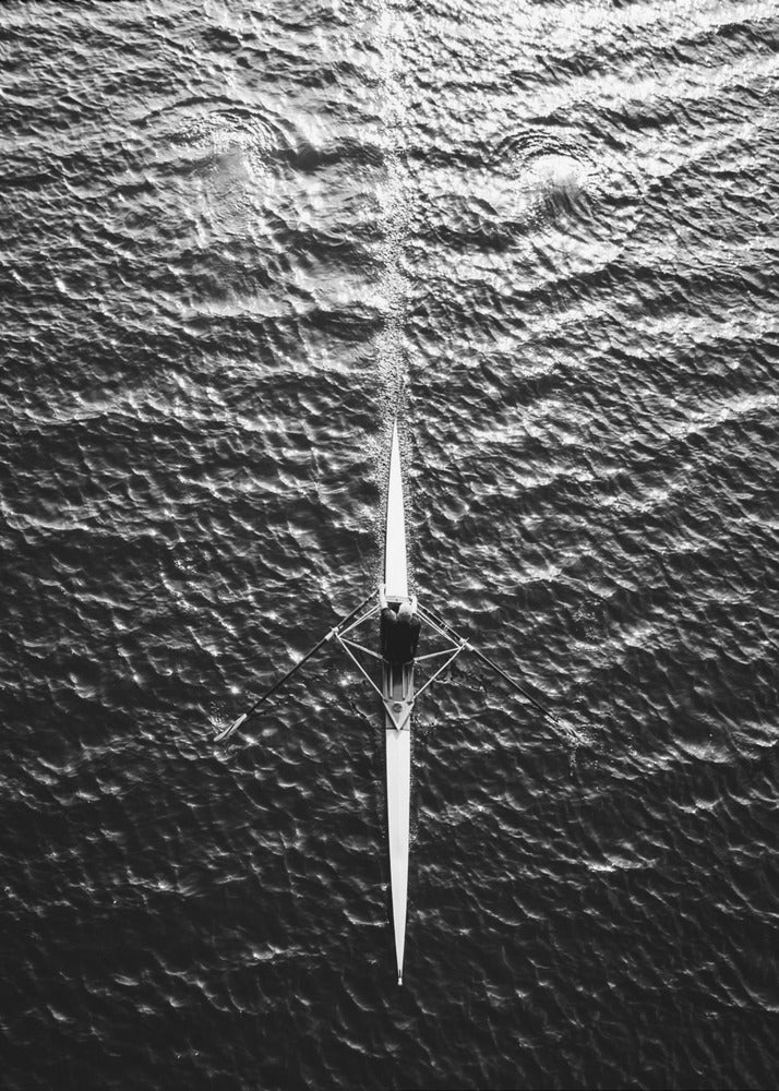 Rowing - Poster / Art Print