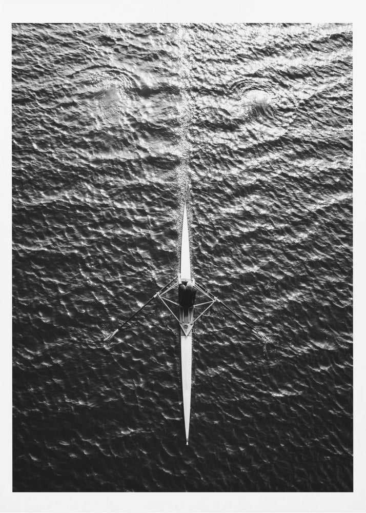 Rowing - Poster / Art Print
