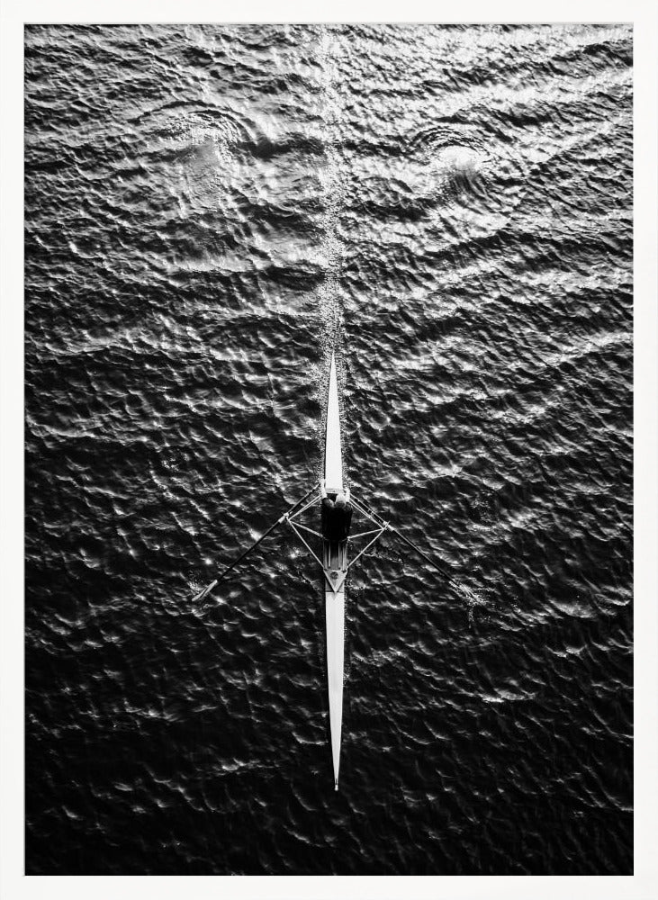 Rowing - Poster / Art Print