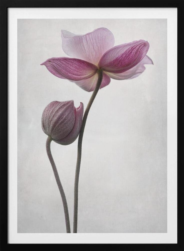 A Little Touch - Poster / Art Print