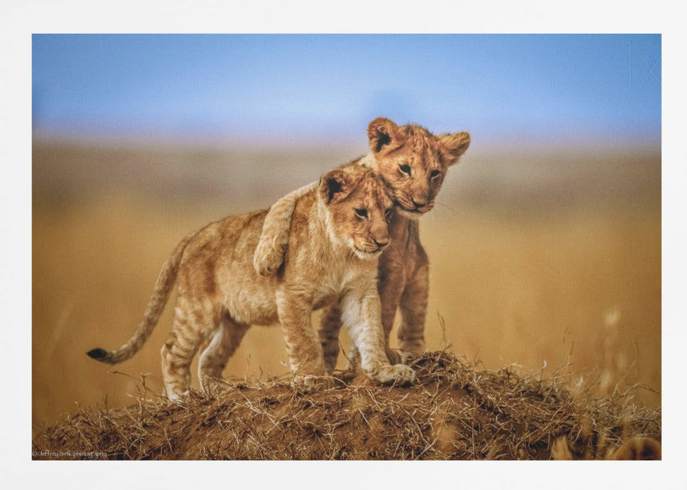 Brothers for Life - Poster / Art Print