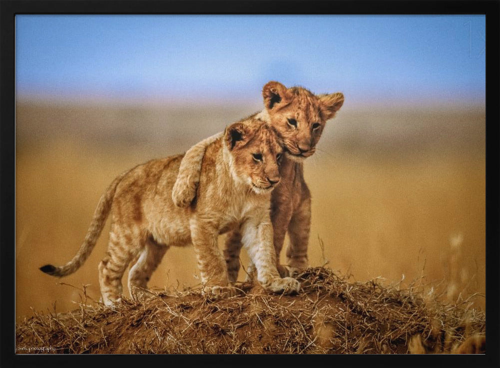 Brothers for Life - Poster / Art Print