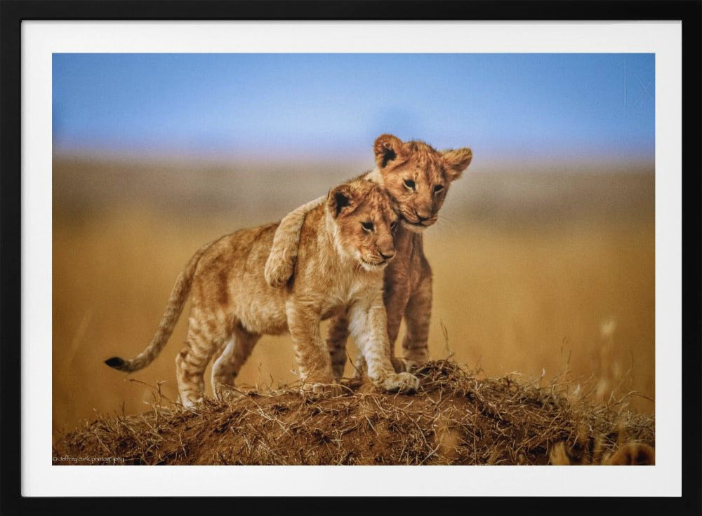 Brothers for Life - Poster / Art Print
