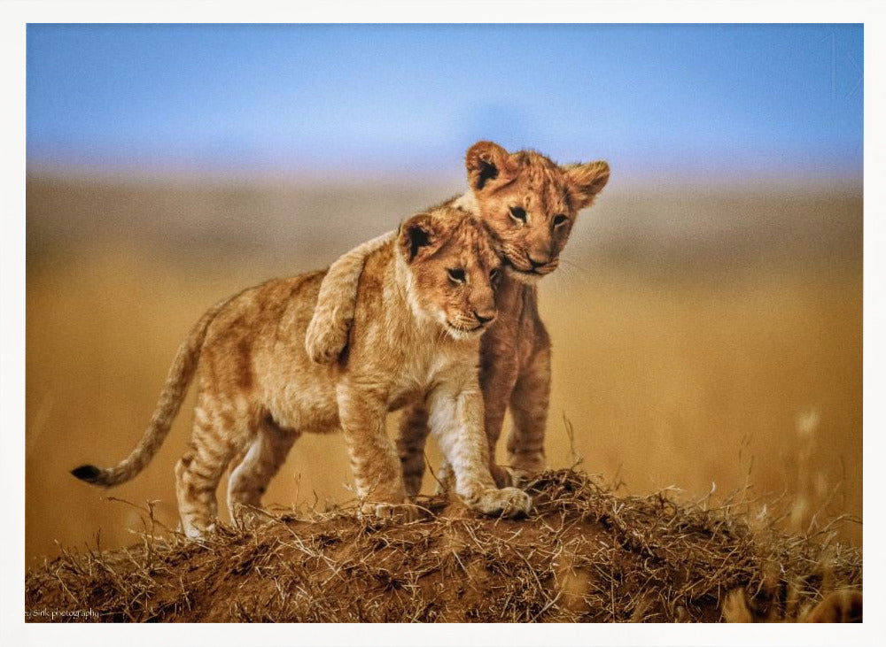 Brothers for Life - Poster / Art Print