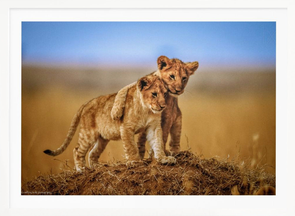 Brothers for Life - Poster / Art Print