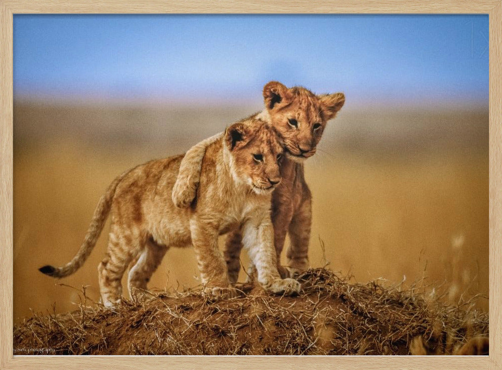 Brothers for Life - Poster / Art Print