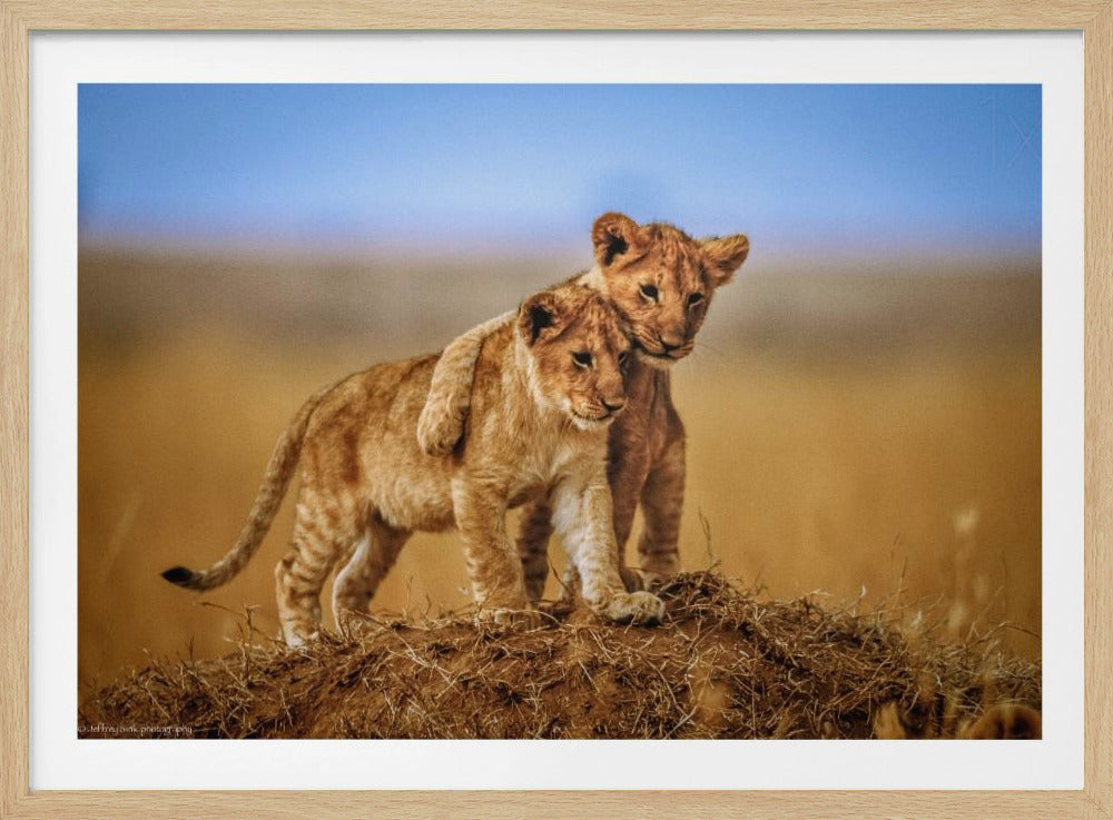 Brothers for Life - Poster / Art Print