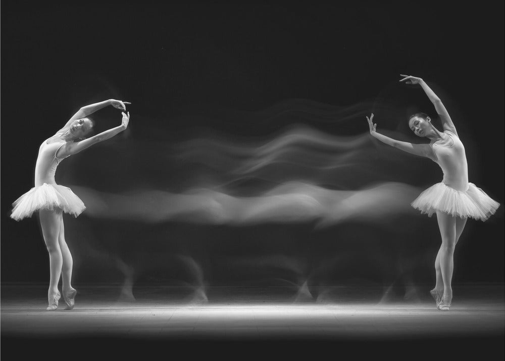 Double Pose - Poster / Art Print