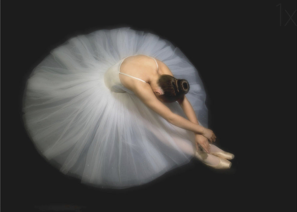 Elegance - Poster / Art Print