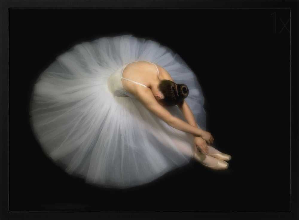 Elegance - Poster / Art Print
