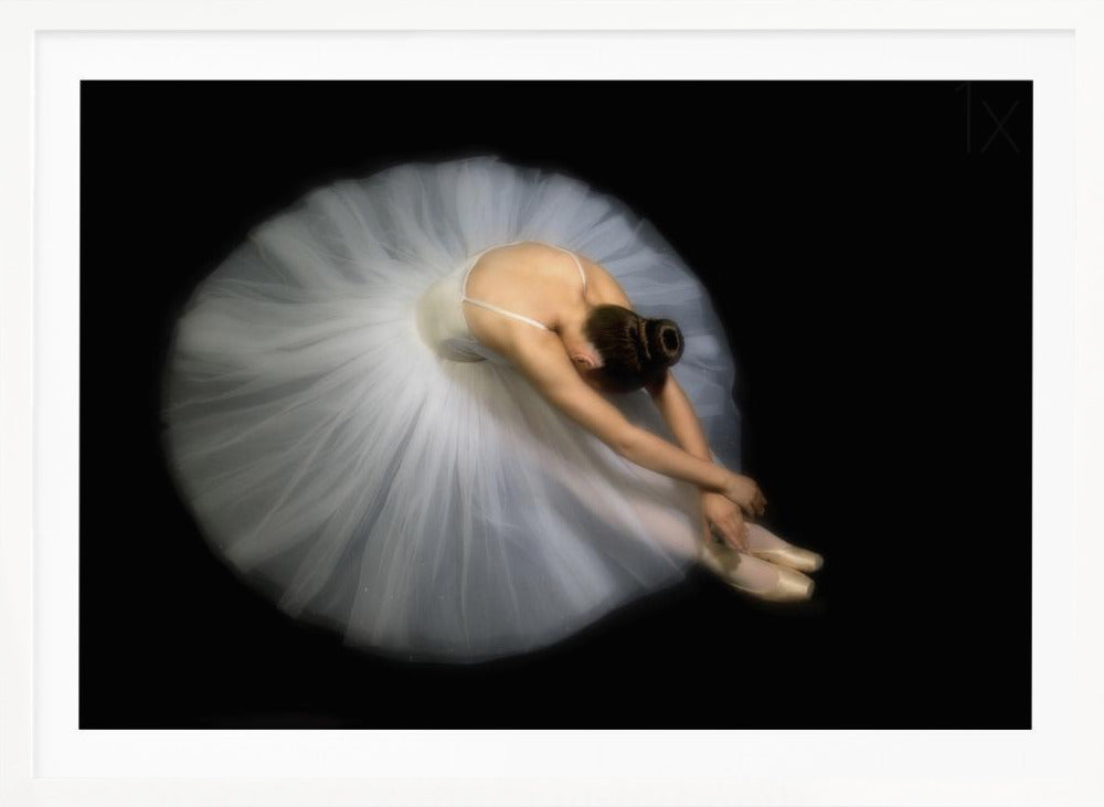 Elegance - Poster / Art Print