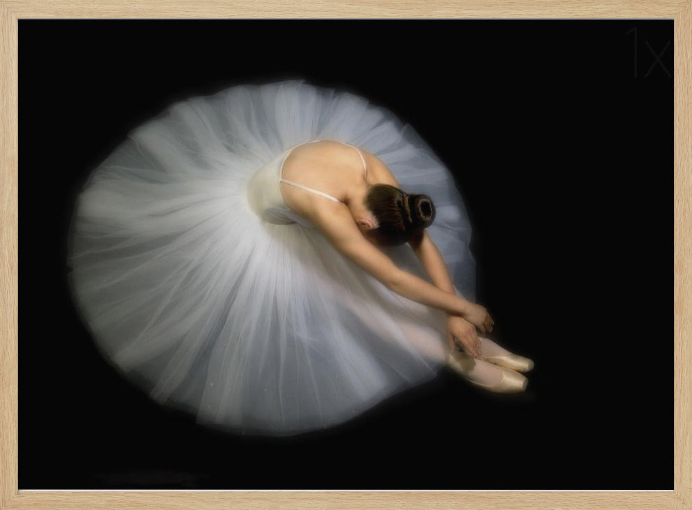 Elegance - Poster / Art Print