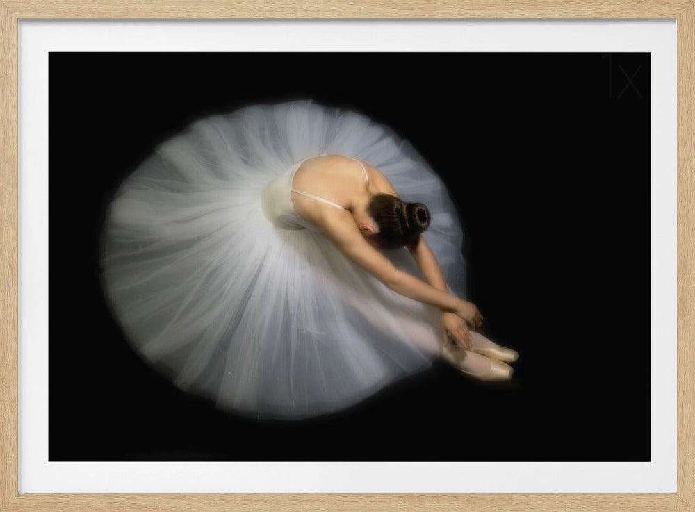 Elegance - Poster / Art Print