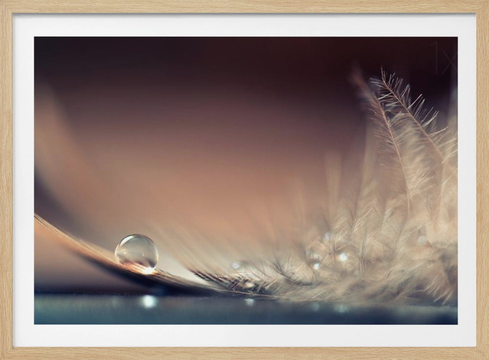 Stories of Drops - Poster / Art Print