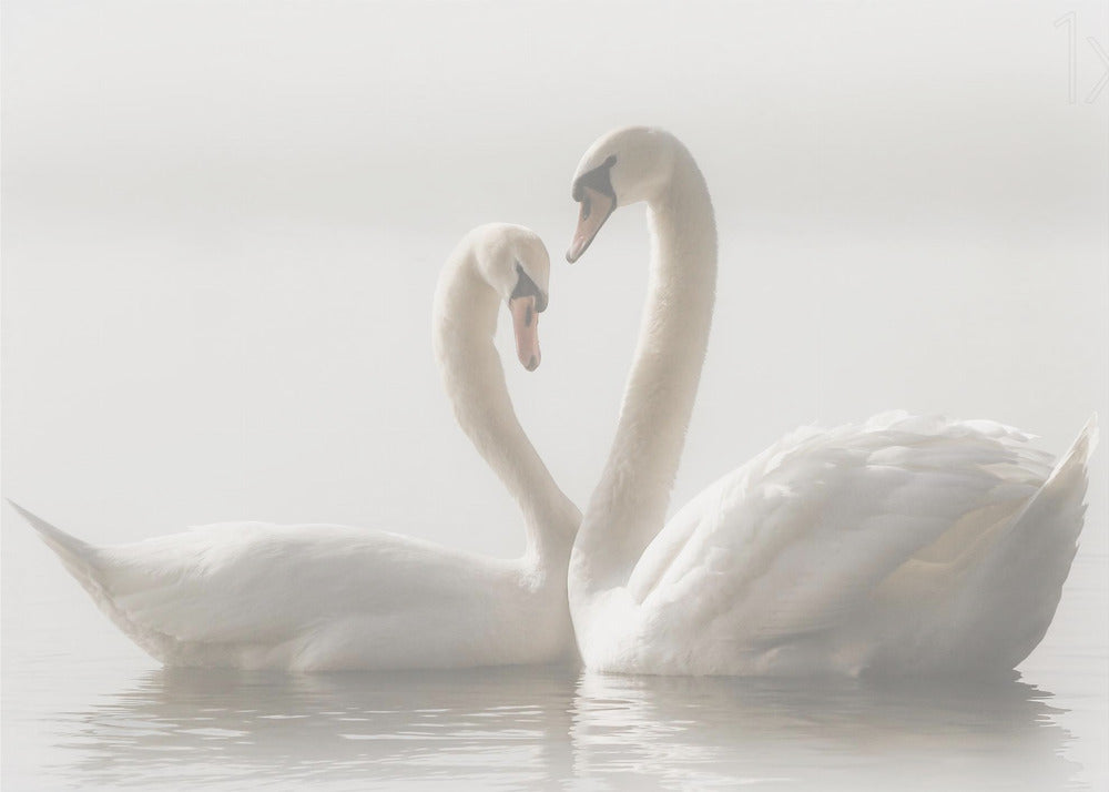 Forever - Poster / Art Print