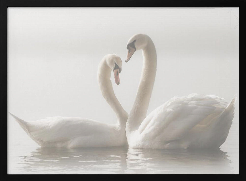 Forever - Poster / Art Print