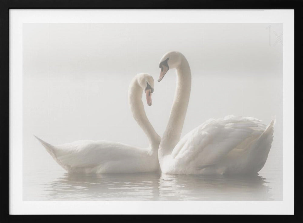 Forever - Poster / Art Print