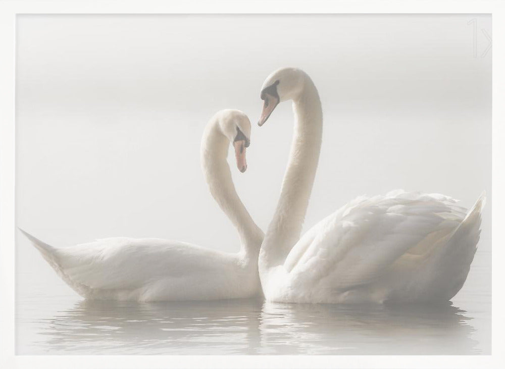 Forever - Poster / Art Print