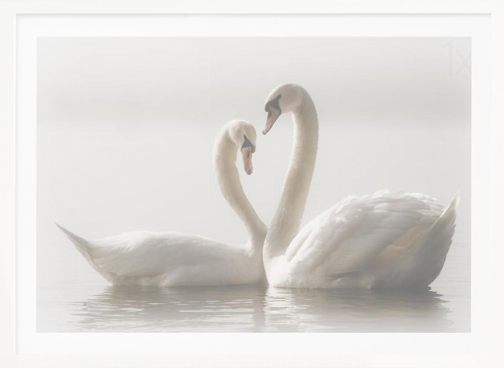 Forever - Poster / Art Print