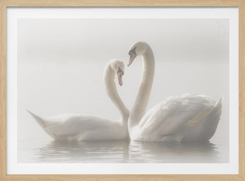 Forever - Poster / Art Print