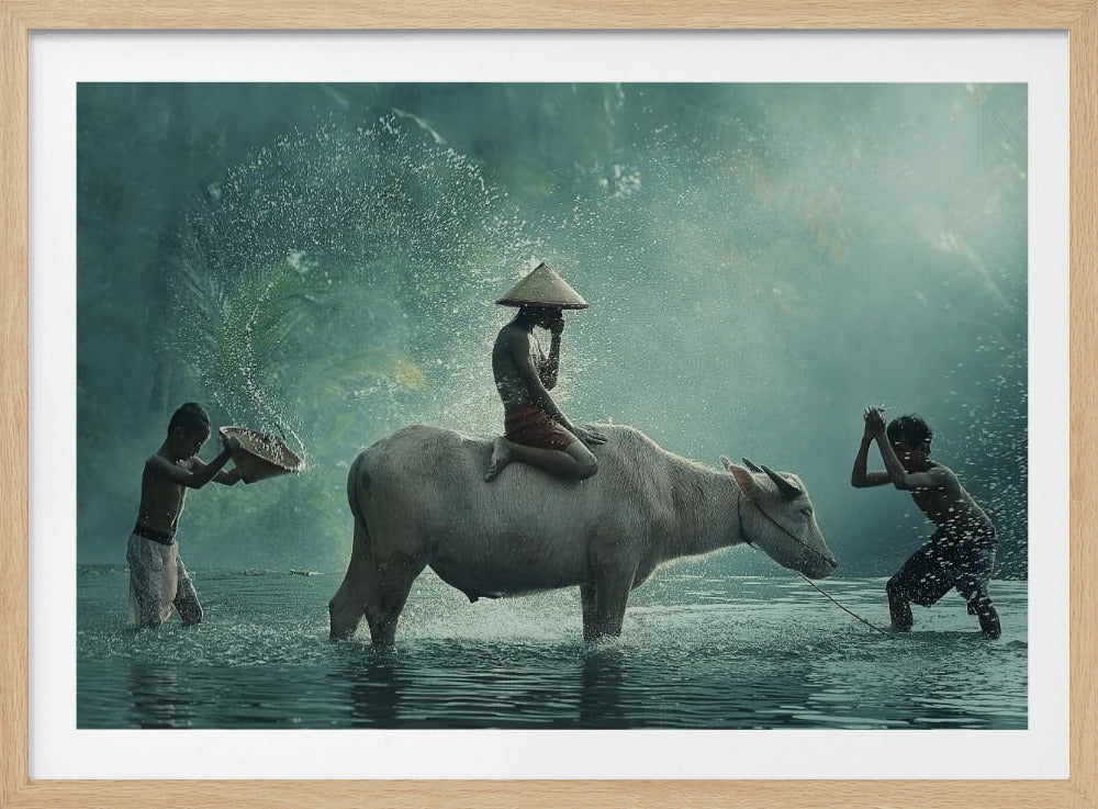Water Buffalo - Poster / Art Print