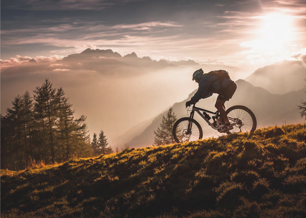 Golden hour biking - Poster / Art Print