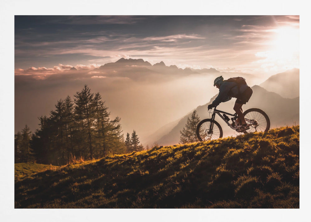 Golden hour biking - Poster / Art Print