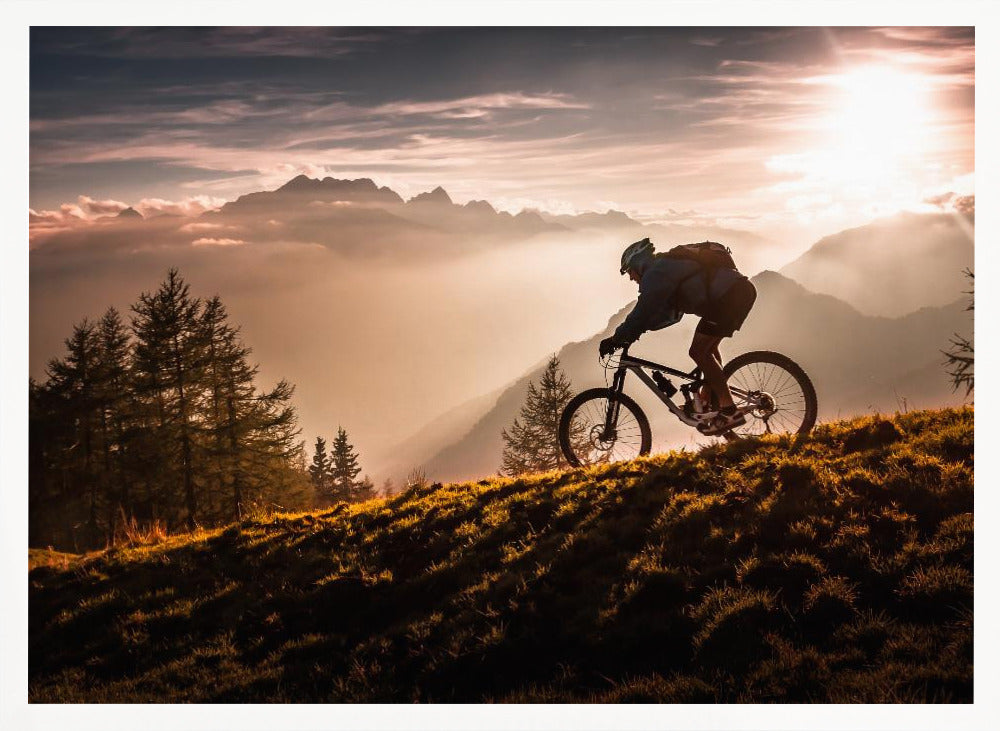 Golden hour biking - Poster / Art Print