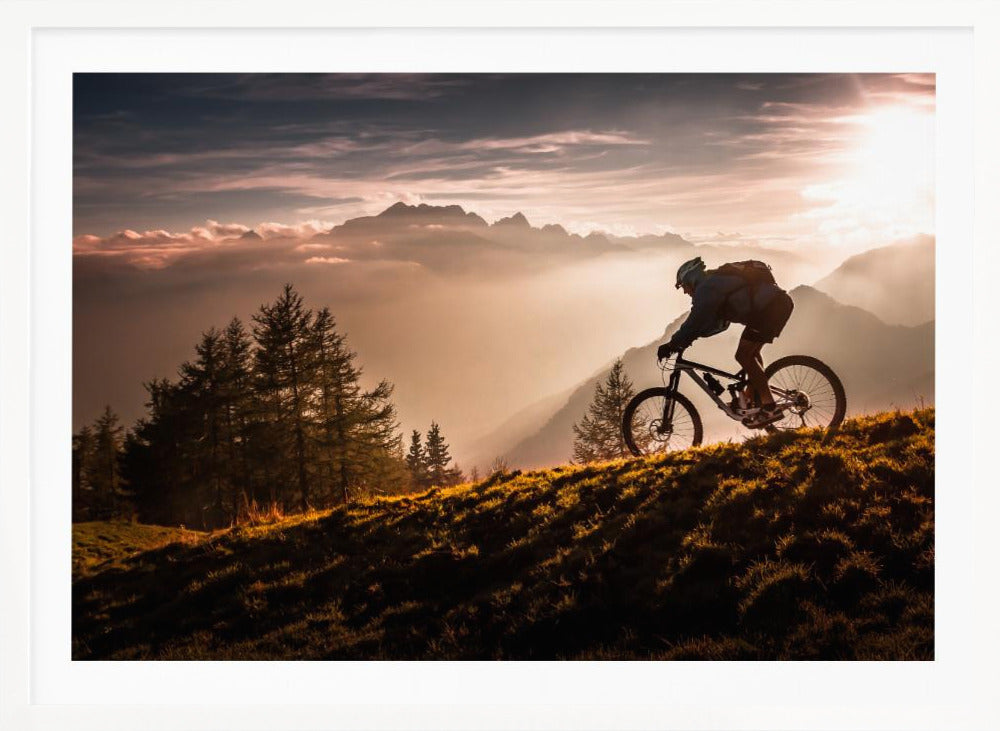 Golden hour biking - Poster / Art Print
