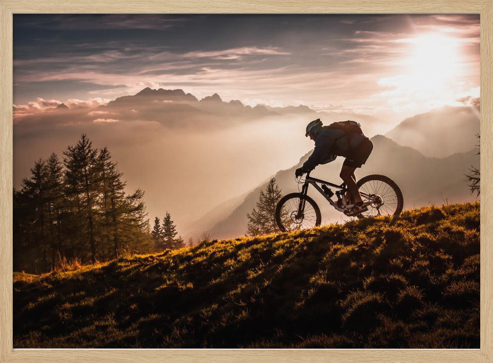 Golden hour biking - Poster / Art Print
