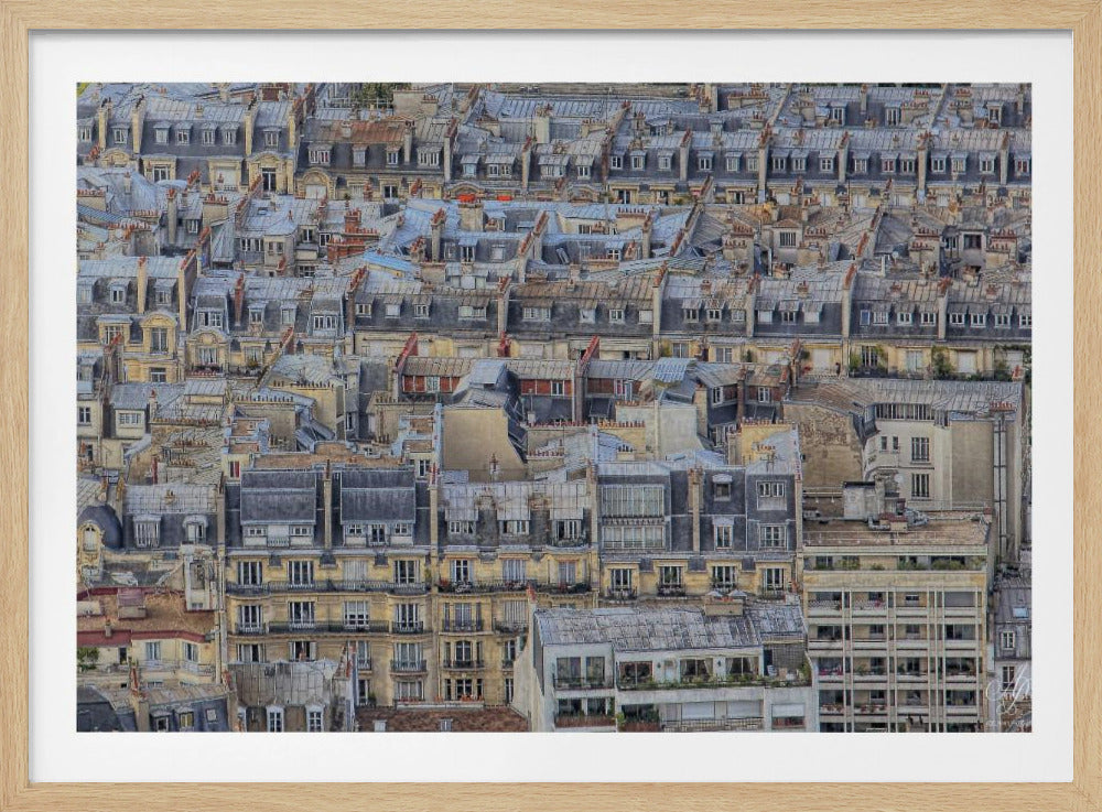 Parisian roofs - Poster / Art Print