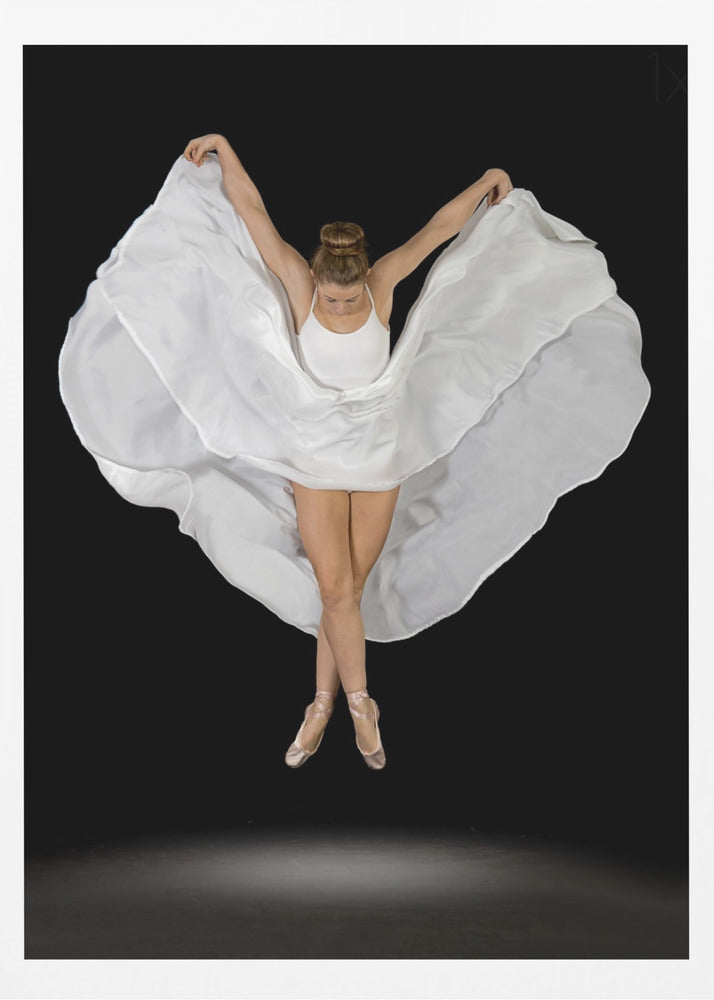 Entrechat en Blanc - Poster / Art Print