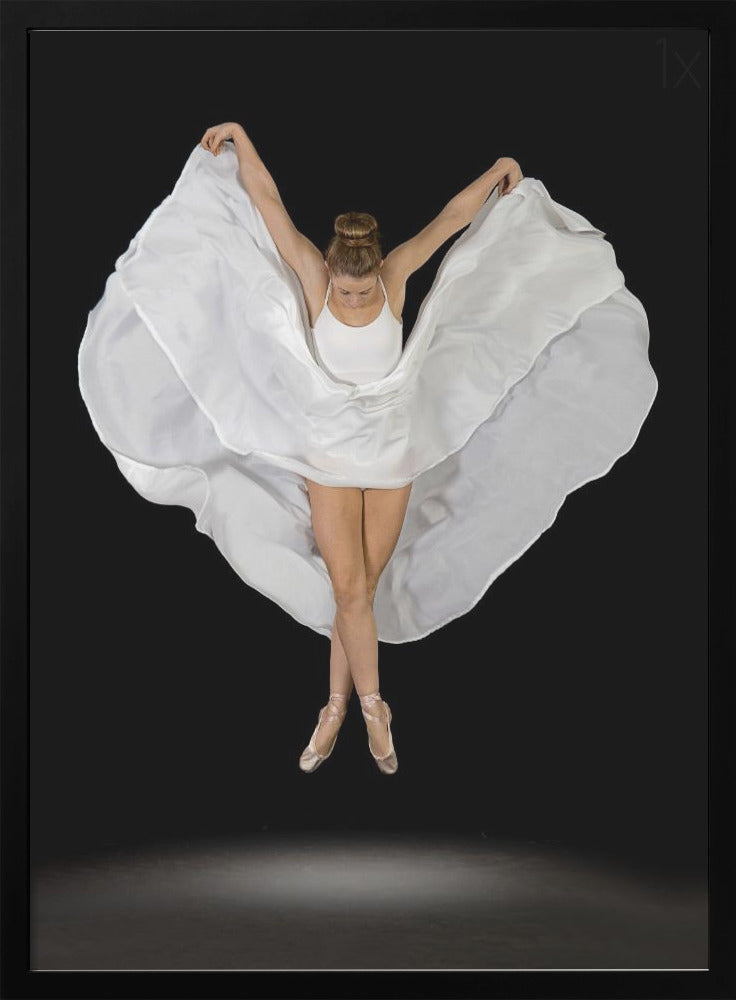 Entrechat en Blanc - Poster / Art Print