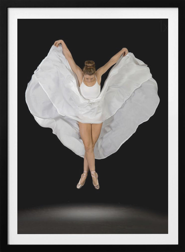 Entrechat en Blanc - Poster / Art Print