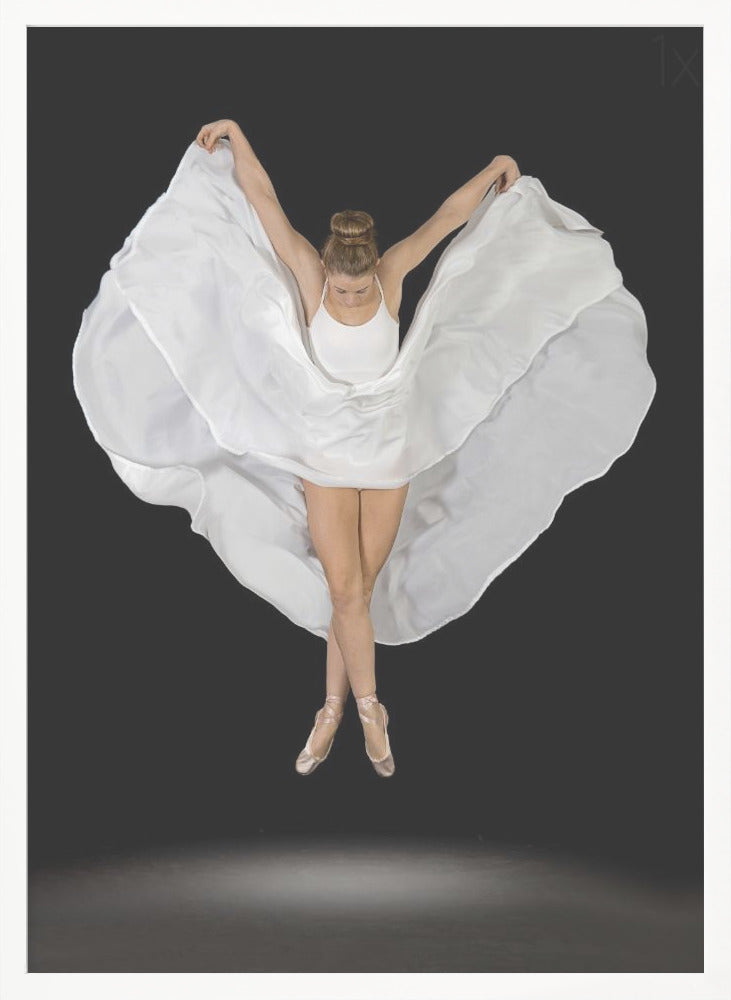 Entrechat en Blanc - Poster / Art Print