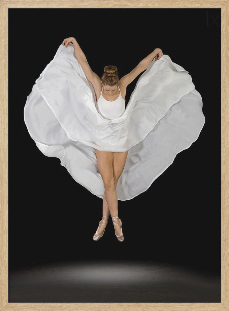 Entrechat en Blanc - Poster / Art Print