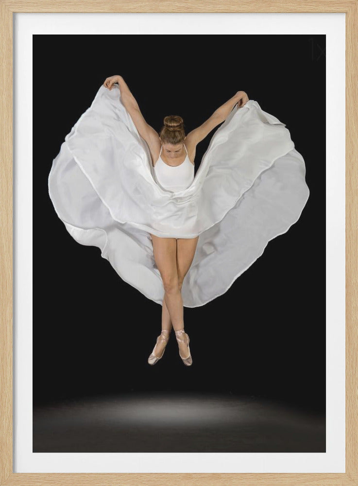 Entrechat en Blanc - Poster / Art Print