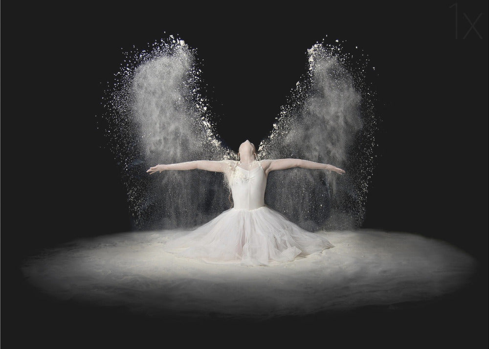 Flour Wings - Poster / Art Print