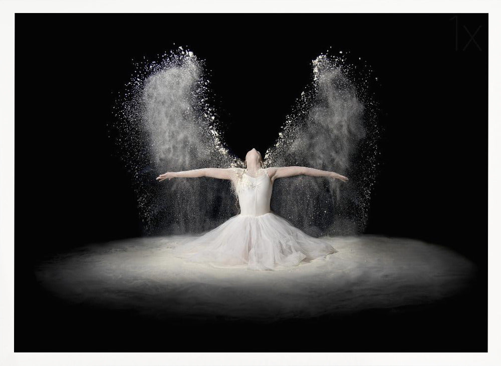 Flour Wings - Poster / Art Print