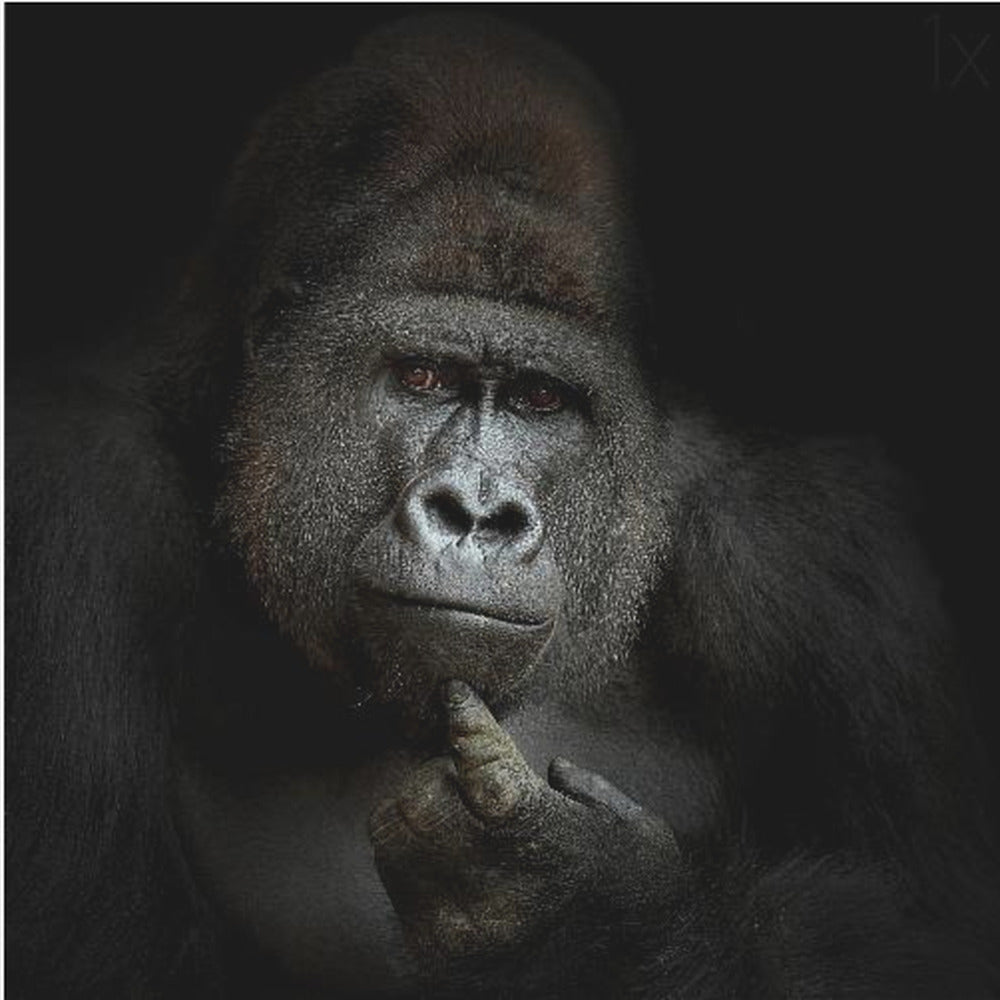 ego cogito, ergo sum - Poster / Art Print