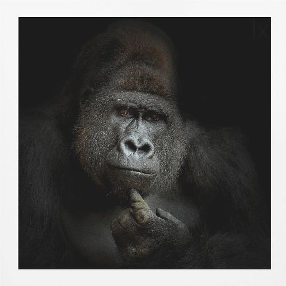 ego cogito, ergo sum - Poster / Art Print