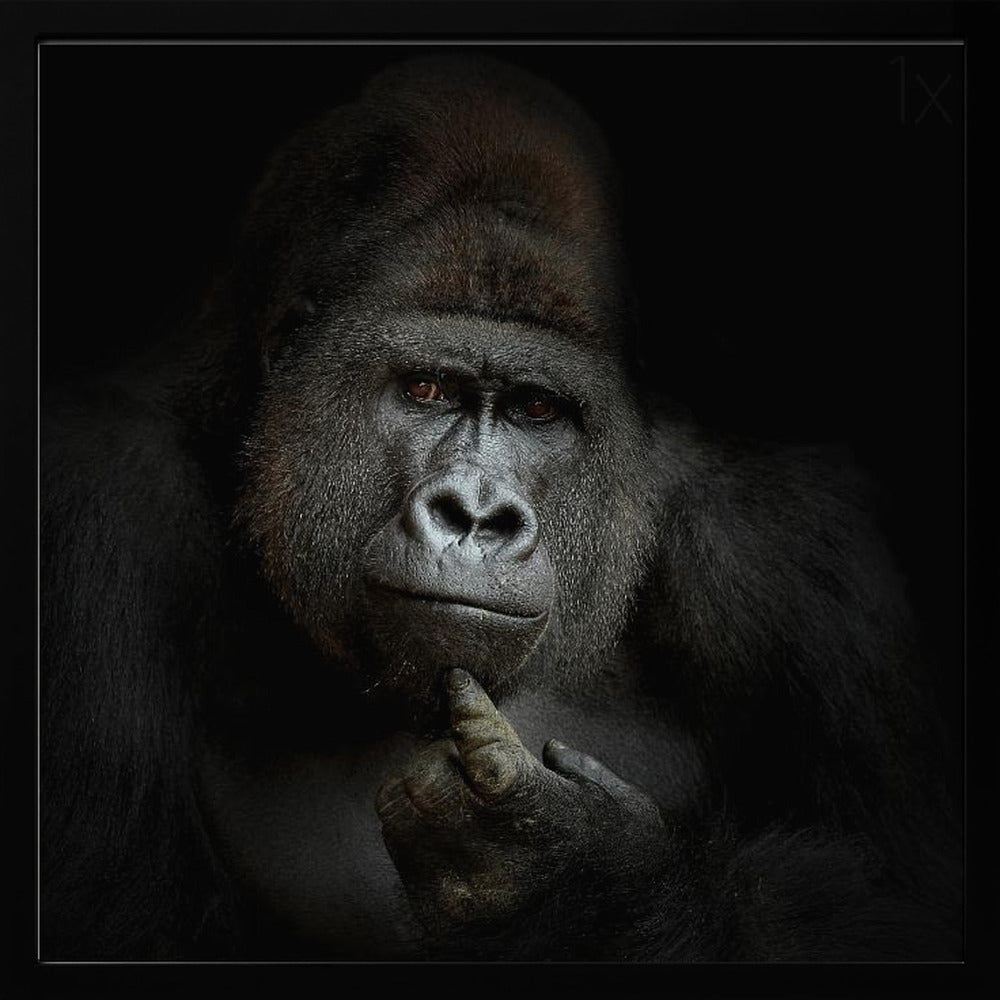 ego cogito, ergo sum - Poster / Art Print