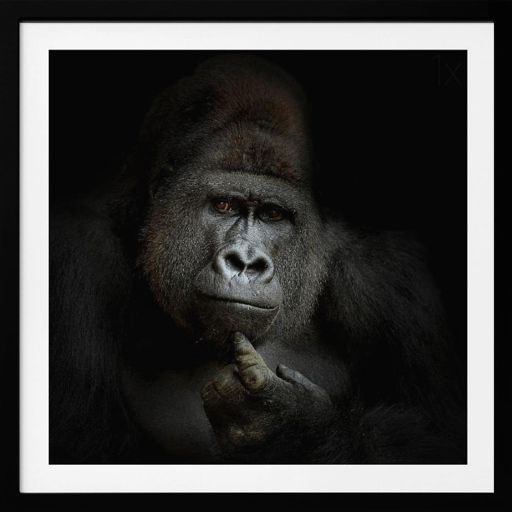 ego cogito, ergo sum - Poster / Art Print