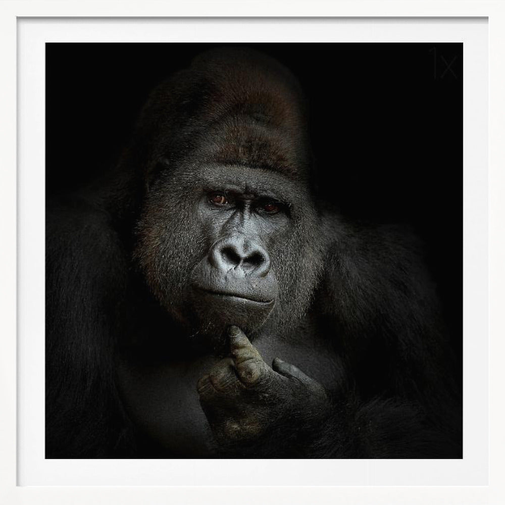 ego cogito, ergo sum - Poster / Art Print