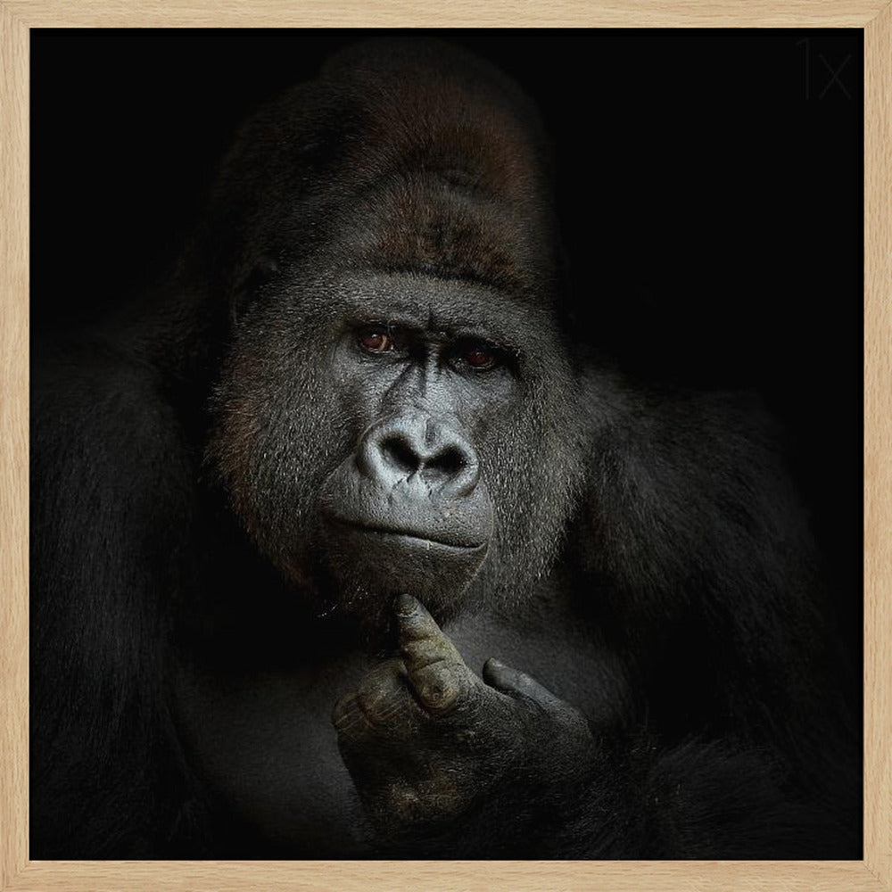 ego cogito, ergo sum - Poster / Art Print