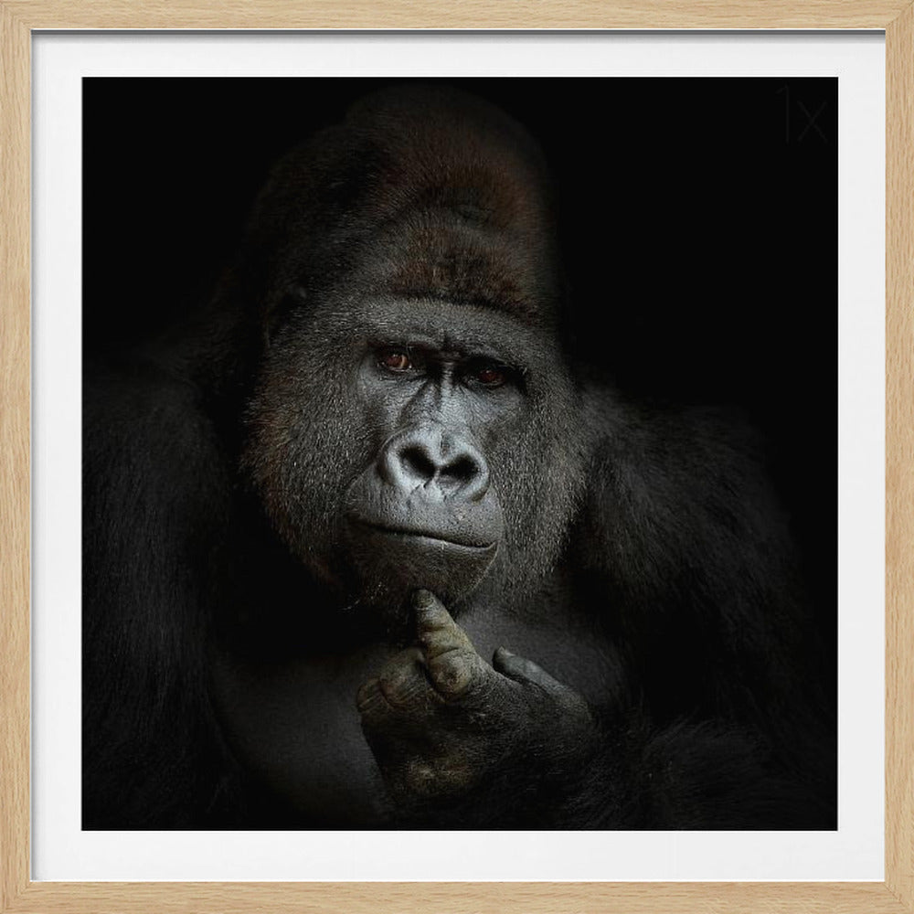 ego cogito, ergo sum - Poster / Art Print