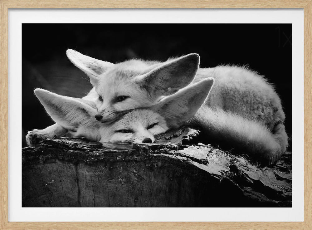 The happy couple - Poster / Art Print