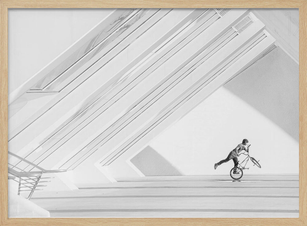 bicycle art - Poster / Art Print